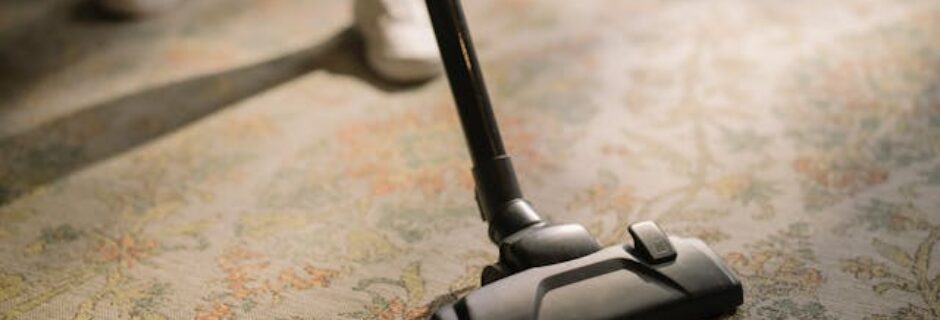 L'optimisation de l'aspirateur balmuda c-b110